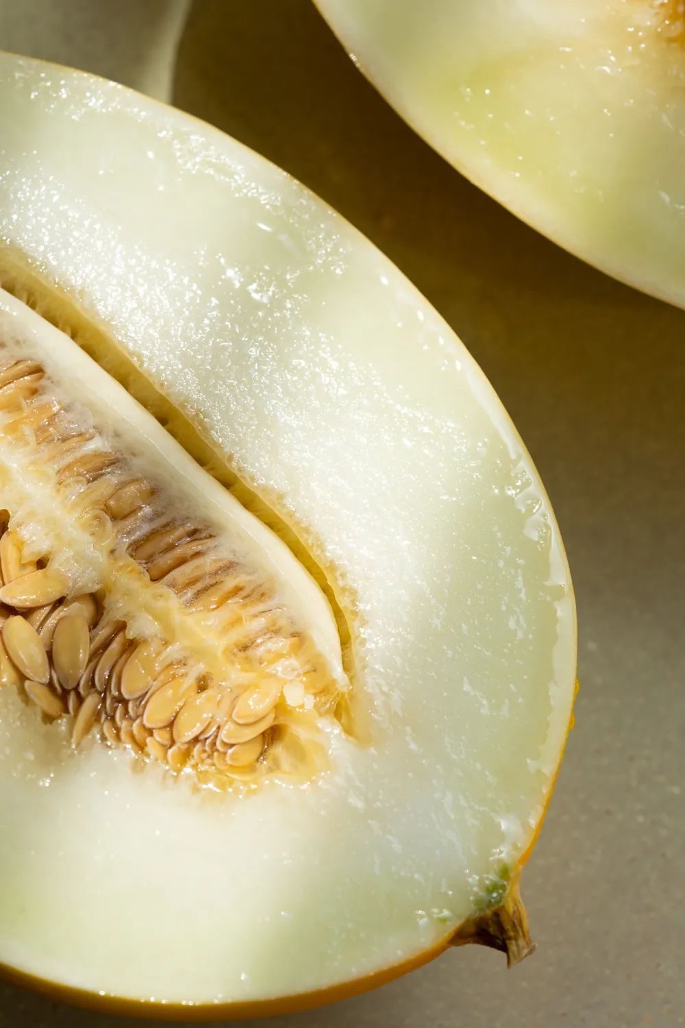 Hainan melon farm