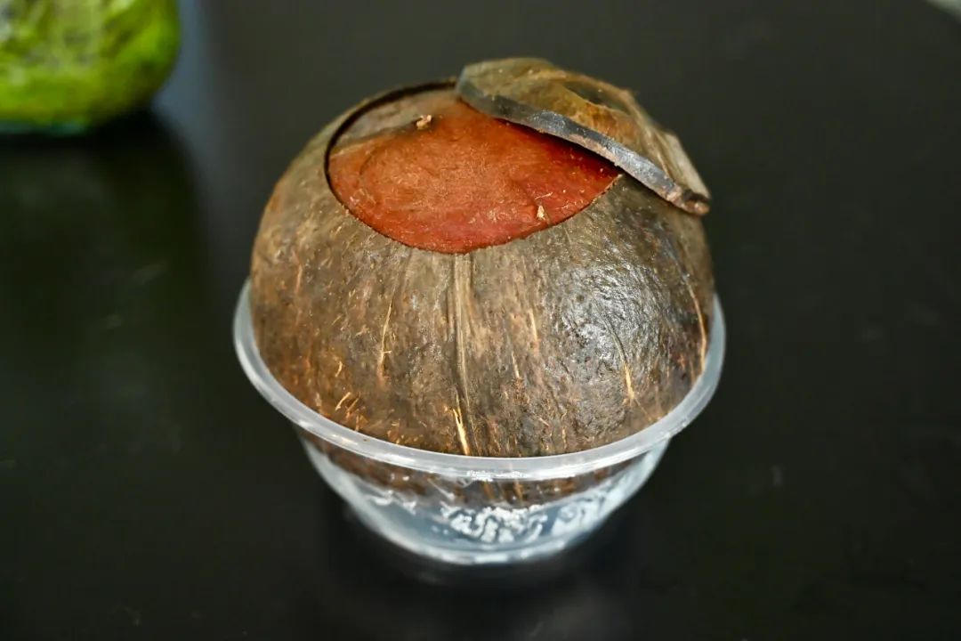 Guangdong cuisine variety