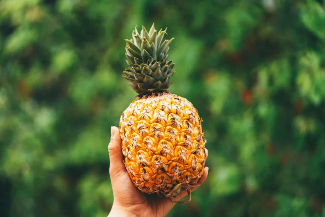 Mango Pineapple Conclusion