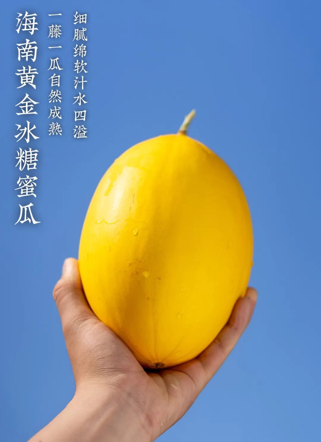 Golden Crystal Honeydew on a wooden table